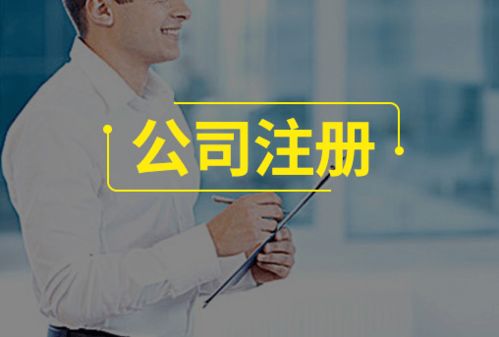 外資分公司與個人獨(dú)資企業(yè)注冊流程及注意事項(xiàng)